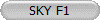 SKY F1